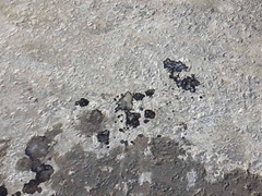 Máy San GD405A-2-1398