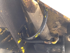 Lu rung mini TW41-11899