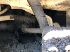 Máy xúc đào Yanmar B7-5A-57641B