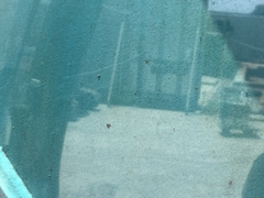 Kobelco SK70SR-07816