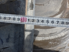 Máy xúc đào kobelco SK30UR-5-09859