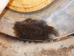 Máy xúc đào Komatsu PC138-2E1-6206