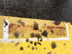 Xe nâng xúc lật komatsu SD10C-5-70579