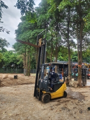 Komatsu Xe điện đứng lái FB15-12- 839860