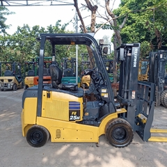 Xe nâng điện FE25H-1-306304