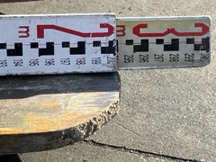 Komatsu FE25-1/302923