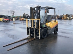 TCM FD30C3/2N800259