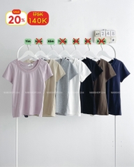 (S20%) Áo Thun Số 248-B 7963 Babytee Cổ Rộng