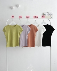 (SC99K) Áo Croptop Số 118-B 8682 Trơn Tay Hến