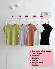 (SC99K) Áo Croptop Số 118-B 8682 Trơn Tay Hến