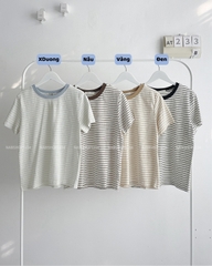 Áo Thun Số 233-B 7985 Form Vừa Cổ Sọc