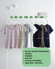 (S20%) Áo Thun Số 248-B 7963 Babytee Cổ Rộng