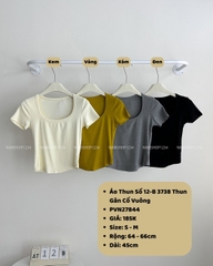 (S50%) Áo Thun Số 12-B 3738 Thun Gân Cổ Vuông