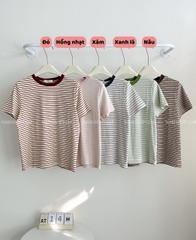 Áo Thun Số 14-M 7996 Kẻ Ngang Mạc Studio