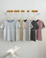 Áo Thun Số 14-M 7996 Kẻ Ngang Mạc Studio