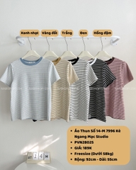 Áo Thun Số 14-M 7996 Kẻ Ngang Mạc Studio