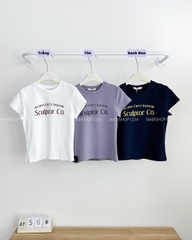 Áo Thun Số 56-B Babytee Co