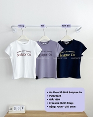 Áo Thun Số 56-B Babytee Co