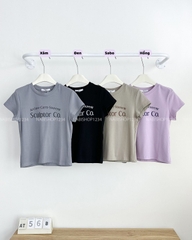 Áo Thun Số 56-B Babytee Co