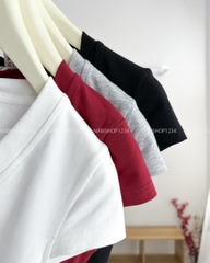 Áo Croptop Số 189-D 3190 Tay Hến Cổ V