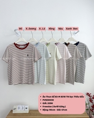 Áo Thun Số 83-M 8318 TN Sọc Thêu Gấu