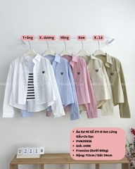 Áo Sơ Mi Số 211-D Set Lửng Gấu+2s Sọc