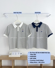 Áo Thun Số 119-M 3668 Polo Sọc Thêu Gấu