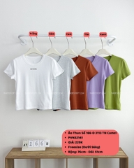 Áo Thun Số 166-D 3113 TN Camel