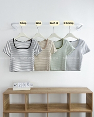 Áo Croptop Số 205-M 3522 Kẻ Cổ Vuông