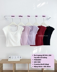 Áo Croptop Số 210-L 293 Tay Hến Cổ Vuông