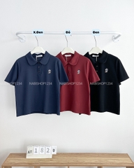 Áo Thun Số 182-D 3599 Polo Thêu Gấu