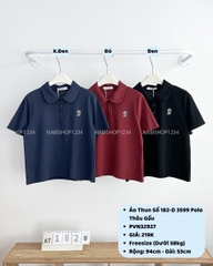 Áo Thun Số 182-D 3599 Polo Thêu Gấu