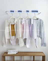 Áo Sơ Mi Số 294-D 8855 Set TD Lửng Sọc + 2s
