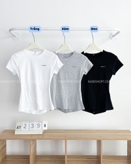 Áo Thun Số 239-B 3446 Nút Lưng Choose