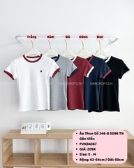 Áo Thun Số 246-B 5098 TN Gân Viền