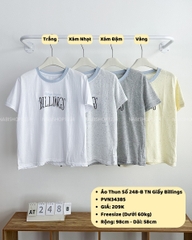 Áo Thun Số 248-B TN Giấy Billings