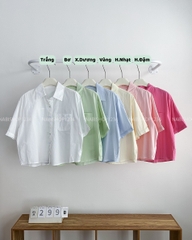 Áo Sơ Mi Số 299-B 6363 TN Cúc Màu
