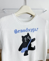 Áo Len Số 113-B SN Mèo Brand