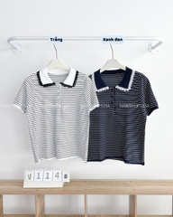 Áo Len Số 114-B Polo Viền Ren Kẻ