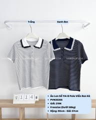 Áo Len Số 114-B Polo Viền Ren Kẻ
