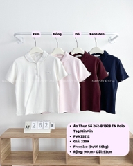 Áo Thun Số 262-B 1928 TN Polo Tag MinMin