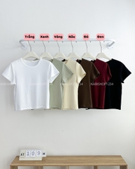 Áo Thun Số 109-M 3557 Babytee Trơn New