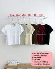 Áo Thun Số 109-M 3557 Babytee Trơn New