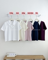 Áo Thun Số 110-M 3576 Polo Cổ Phối