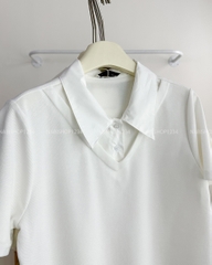 Áo Thun Số 110-M 3576 Polo Cổ Phối
