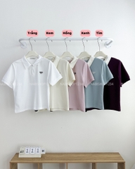 Áo Thun Số 111-M 3577 Polo Thêu Nơ