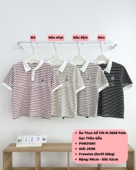 Áo Thun Số 119-M 3668 Polo Sọc Thêu Gấu