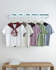Áo Thun Số 164-D 2023 TN Qneset + Khăn