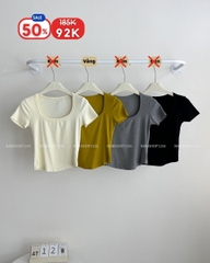 (S50%) Áo Thun Số 12-B 3738 Thun Gân Cổ Vuông