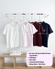 Áo Thun Số 262-B 1928 TN Polo Tag MinMin